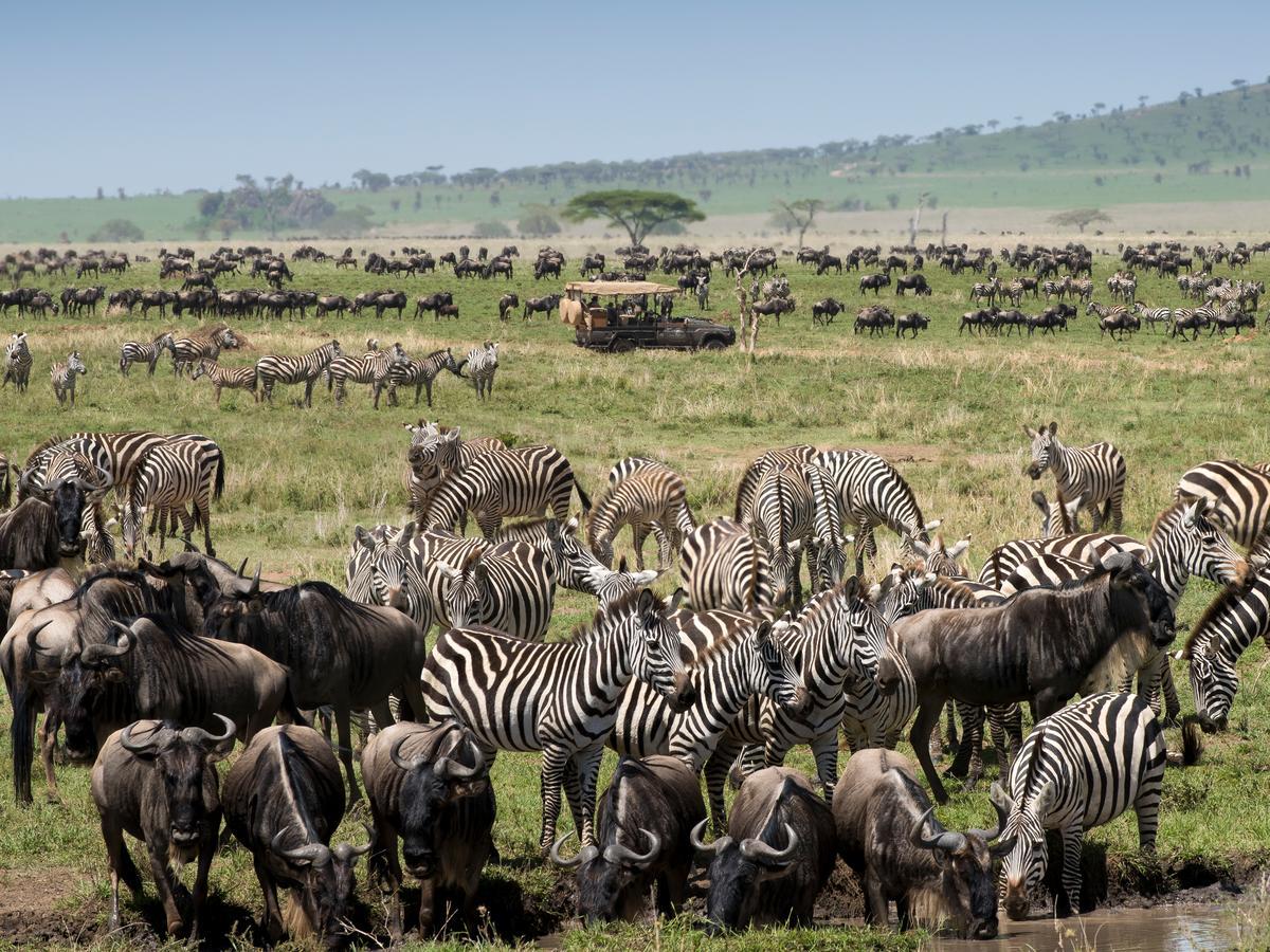 One Nature Nyaruswiga Serengeti Banagi Extérieur photo